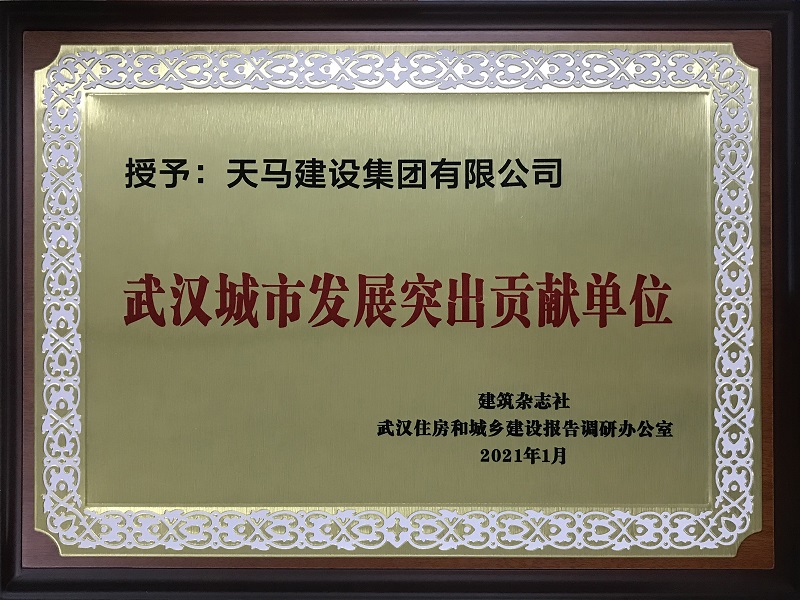 武漢城市發(fā)展突出貢獻(xiàn)單位