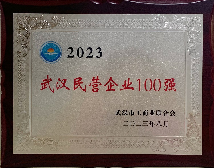 喜訊！我司再度入選武漢民營百強榜